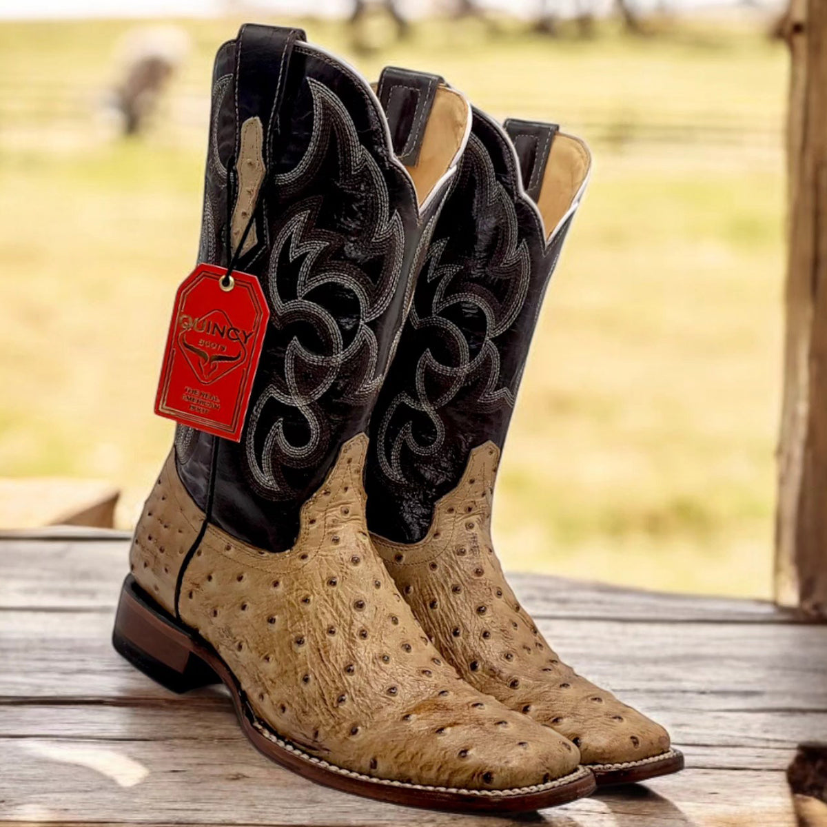 Ostrich print square toe boots